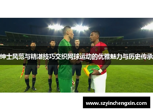 绅士风范与精湛技巧交织网球运动的优雅魅力与历史传承