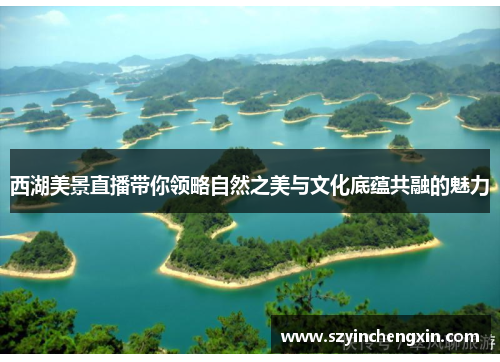 西湖美景直播带你领略自然之美与文化底蕴共融的魅力