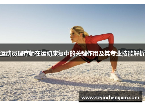 运动员理疗师在运动康复中的关键作用及其专业技能解析