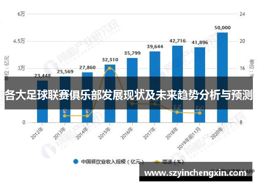 各大足球联赛俱乐部发展现状及未来趋势分析与预测