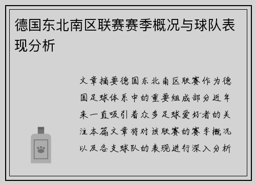 德国东北南区联赛赛季概况与球队表现分析